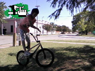 Barspin
