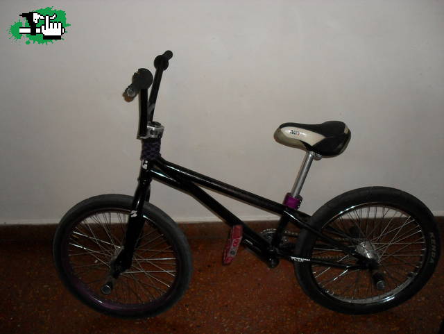 My love (L)
