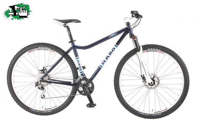 HAro Mary 29