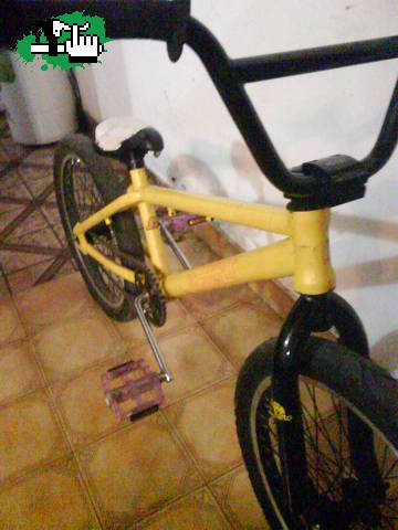 Q COLOR LA PUEDO PINTAR??