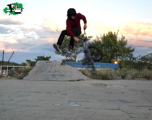 Bunny Tailwhip  8)