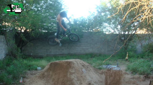 mis dirt "bebo's dirt jump"  armados plantados brotados por mi