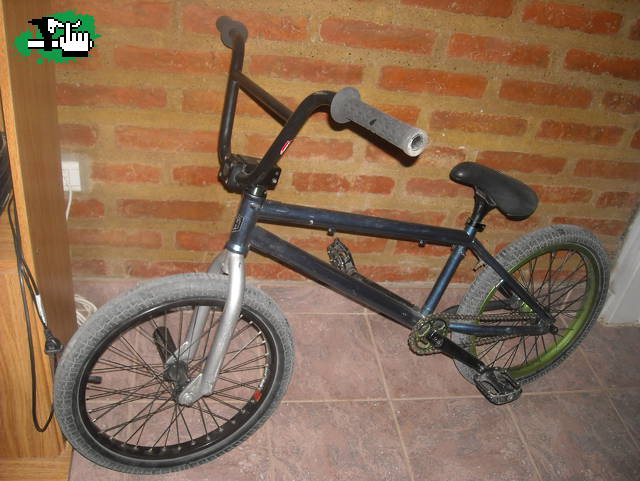 ernestodz