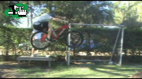 Bunny del pozo