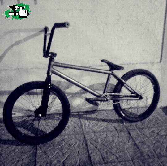 BikeChek Actual 2011