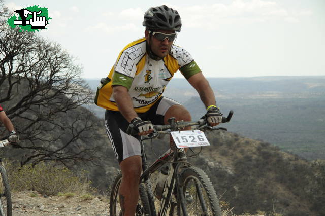 revancha 2010