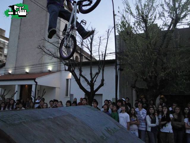 TELA borto