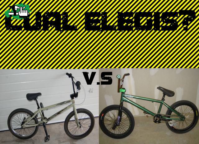 Cual es mejor?