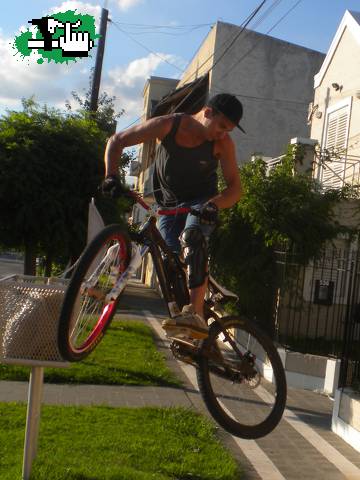 nose q es 