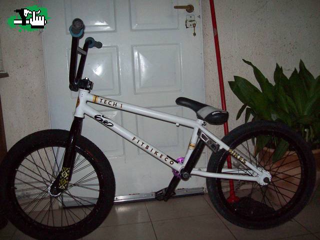 asi qedo 
