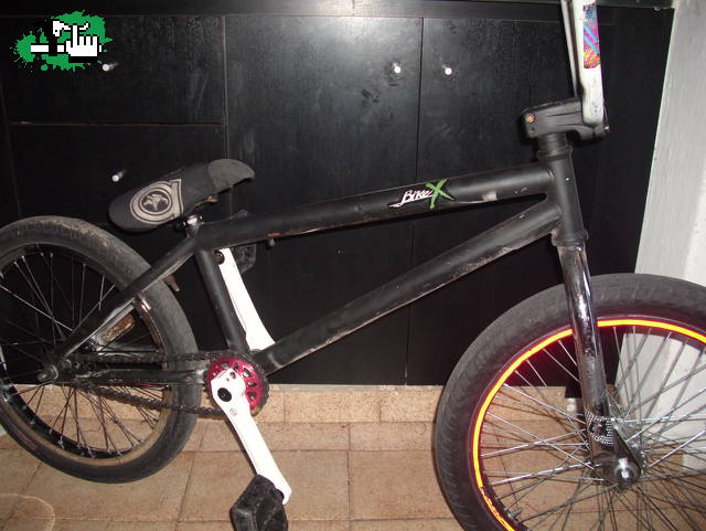 CUADRO EIGHTIES WILD SIDE