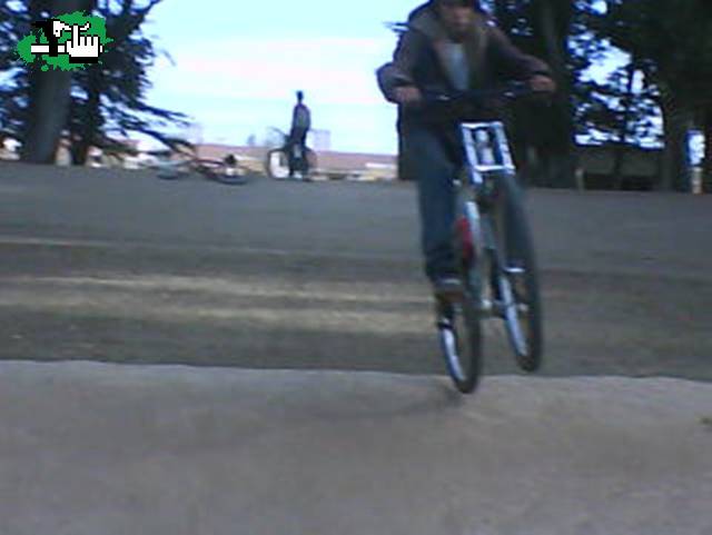 saltando 