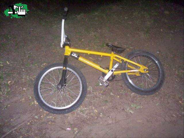 bike check 2011