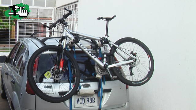 recien llegadita a casa...