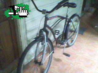 sebascarrion79