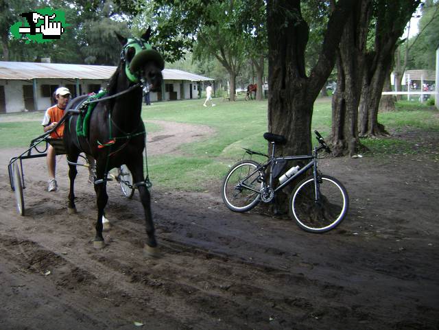 2 h.p. o un dia en las carreras(de trote)
