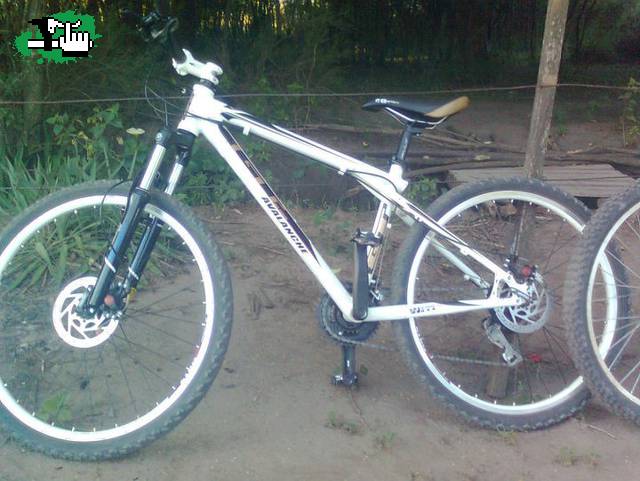 Mi bici