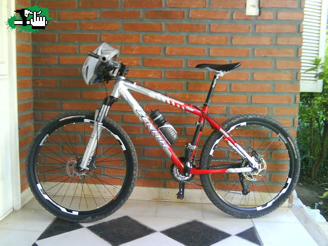 la Z descansando