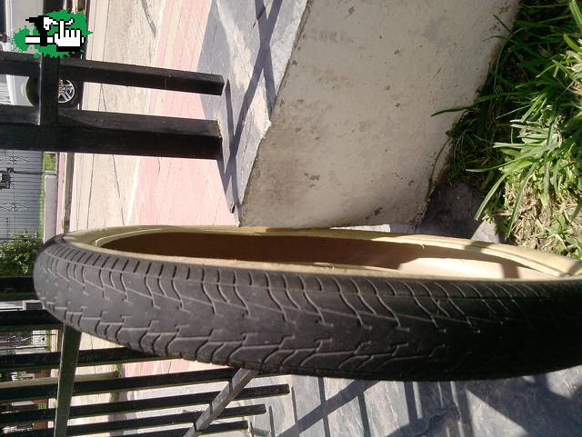 PIRU_BMX