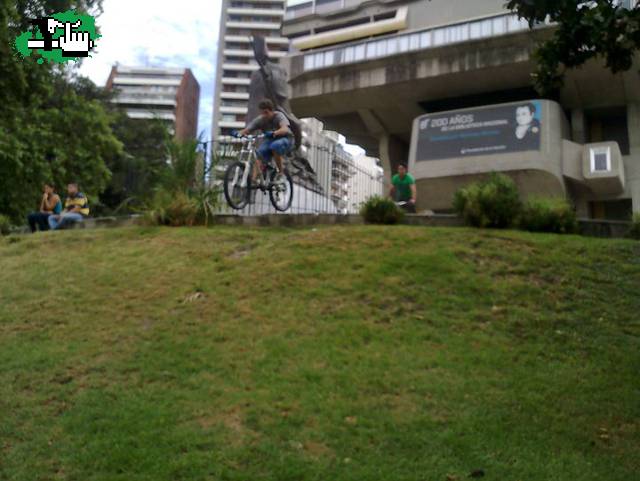 en la biblioteca