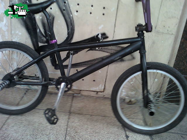 fedepascotto