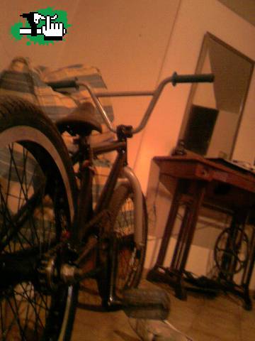 BIKE CHECK...