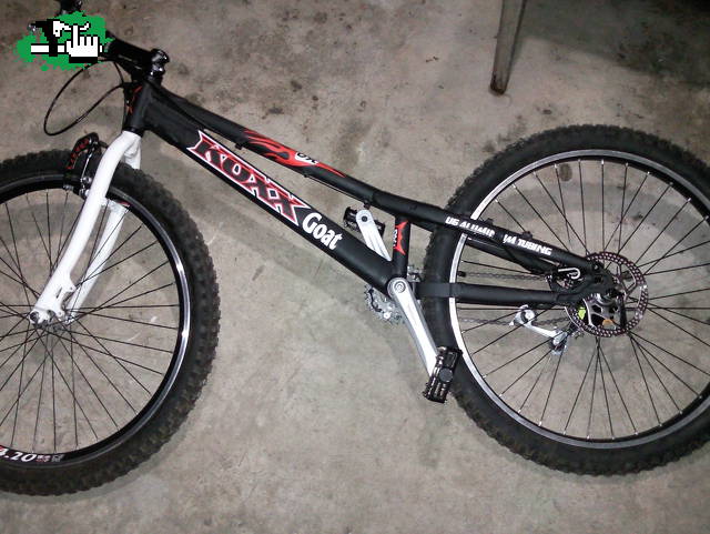 TRIAL KOXX GOAT!!!