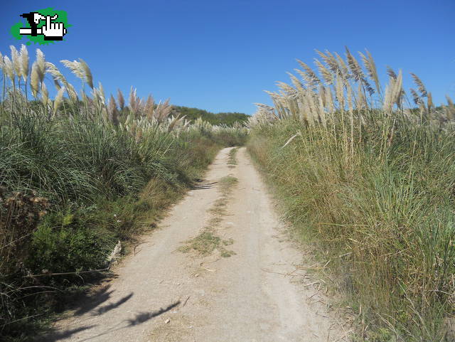 Salidas Zona Norte!