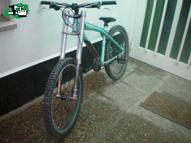 santy3186