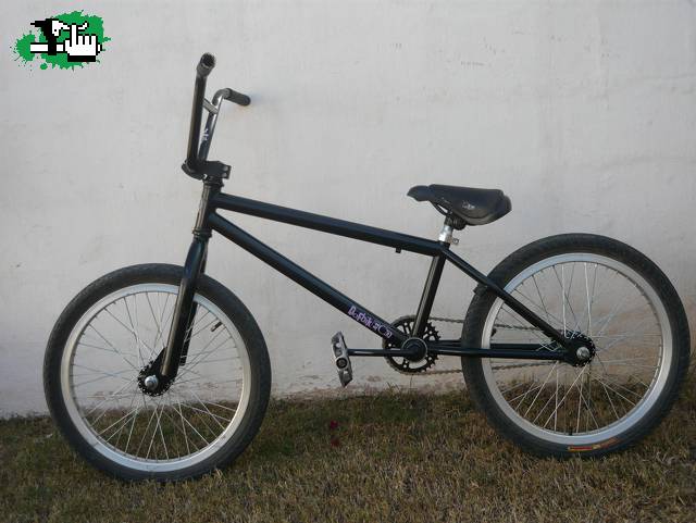 fedebriolotti15
