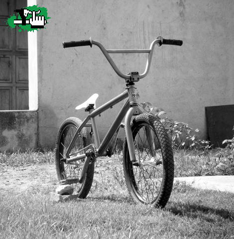 bike check ! 