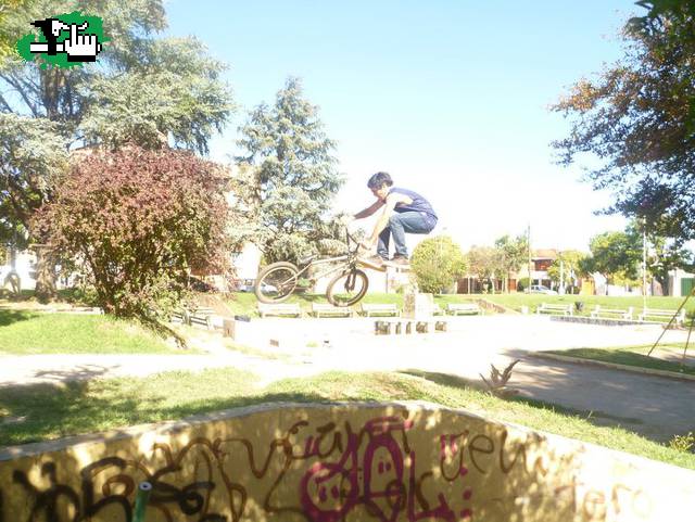 whip 