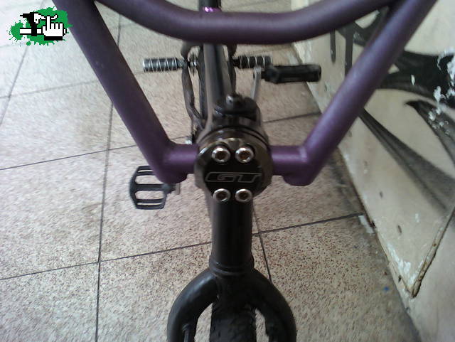 fedepascotto