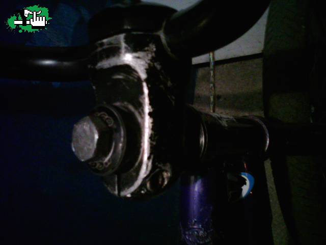 Codo