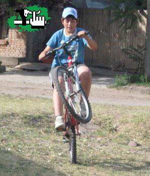 YO tirando willi