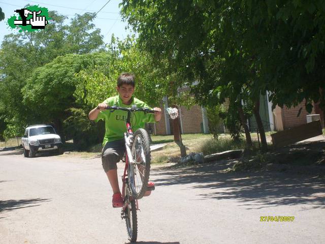 Wilii