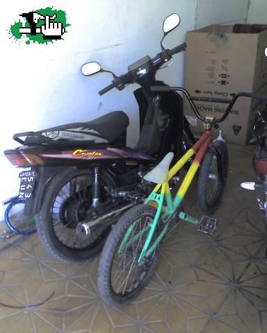 mi bisi