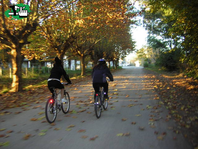 EZEIZA - MAXIMO PAZ - LA MARTONA