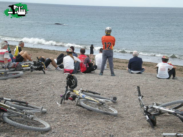BICICLETAS Y BALLENAS EN PENINSULA VALDES (Chubut).