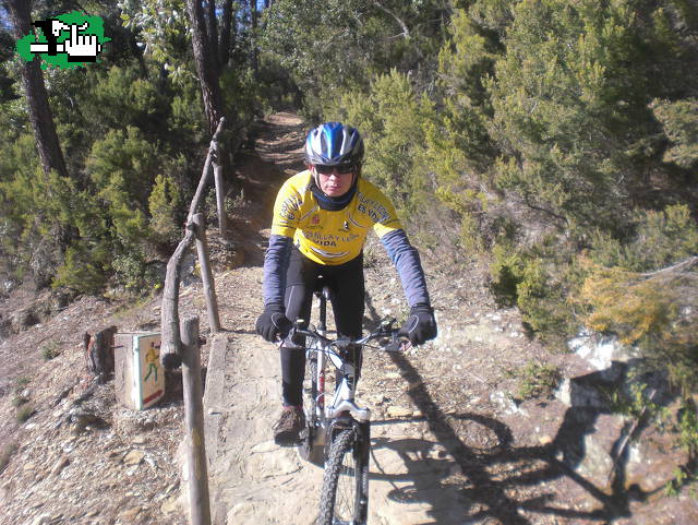 riders1982