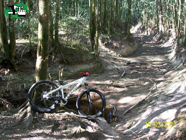 Dia en Parque Pereira!