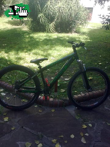 Mi scott
