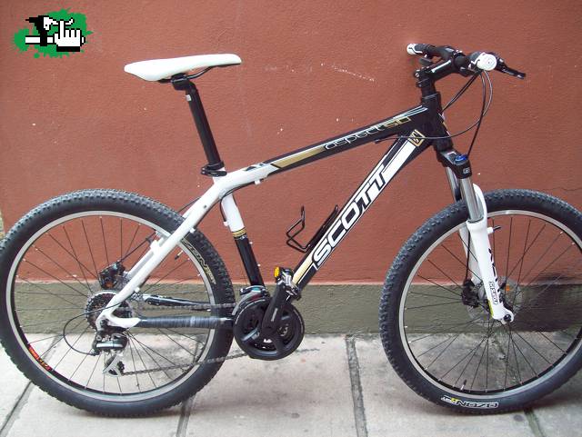 mi nuevo bb