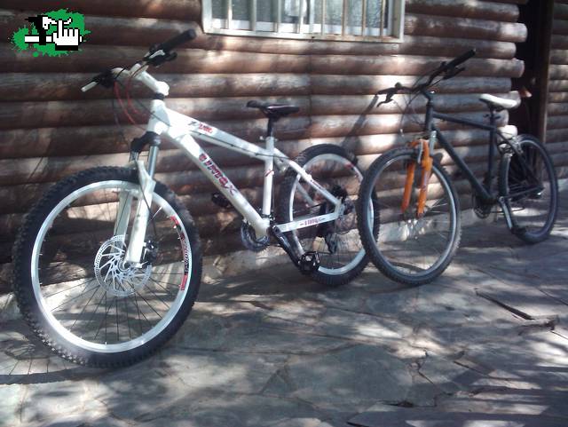 mis dos cabras reposando xdxd