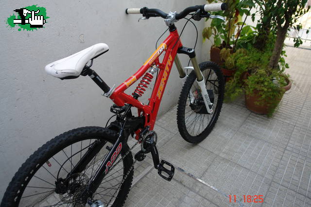 leov8