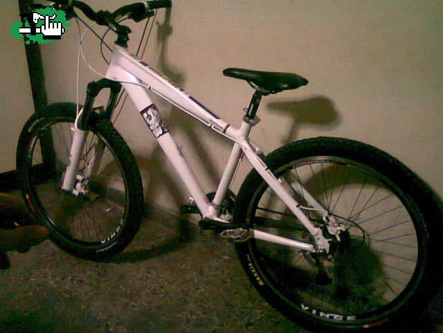 GOMAS NUEVAS...POR FIN!!