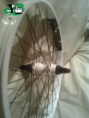 adquisiciones MO bike co, 