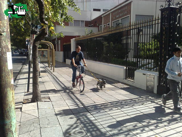 Testeando la Dahon