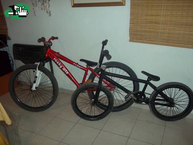 mis bikes y checks