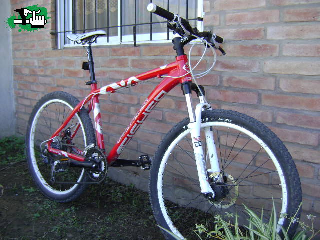 La nueva bici de Papá 